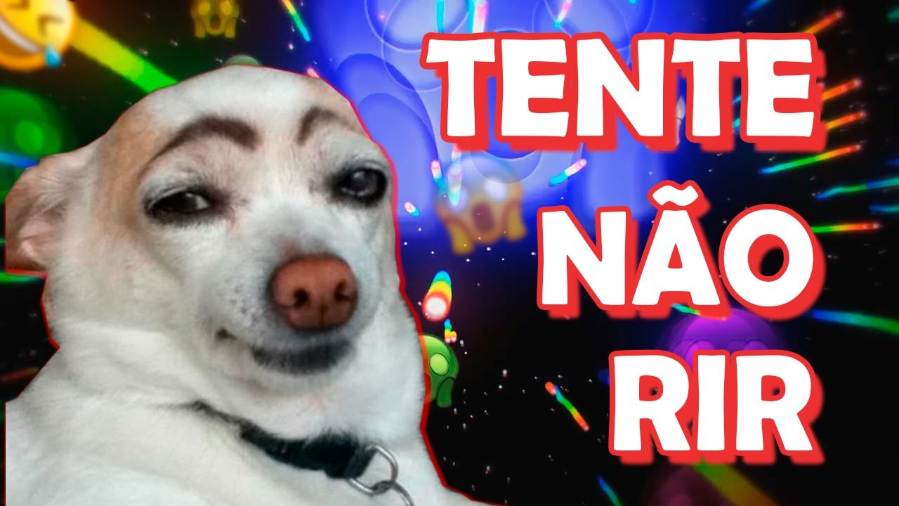 TENTE NÃO RIR - VIDEOS ENGRAÇADOS DE ANIMAIS 2 