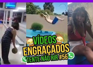 Vídeos de animais engraçados 2020 - Impossível não rir - Videos